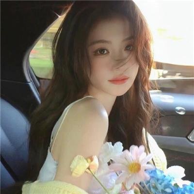 多罗罗2019