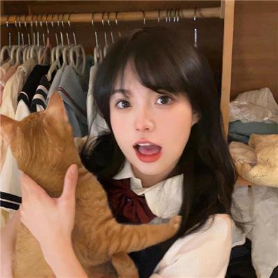 花篮花儿香